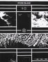 STONE ISLAND MURAL PART 2 Mens Apparel - MENS APPAREL