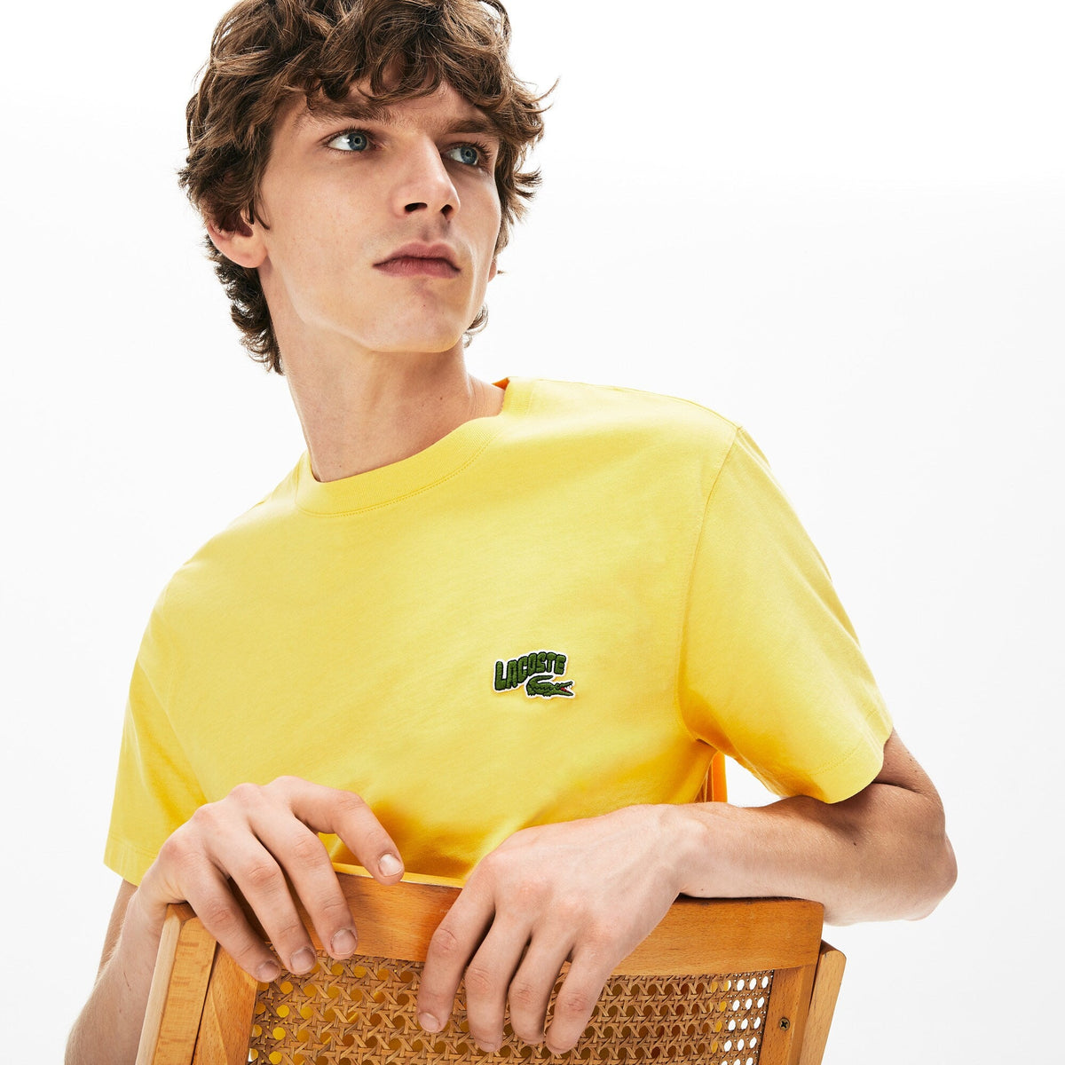 LACOSTE Embroidered Logo Regular Fit T-shirt Mens Apparel – ASPHALT